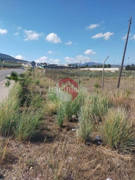 Foto a1a04107-4081-4e08-a933-501506a40292. Fondo rustico in Centro Alhaurín el Grande