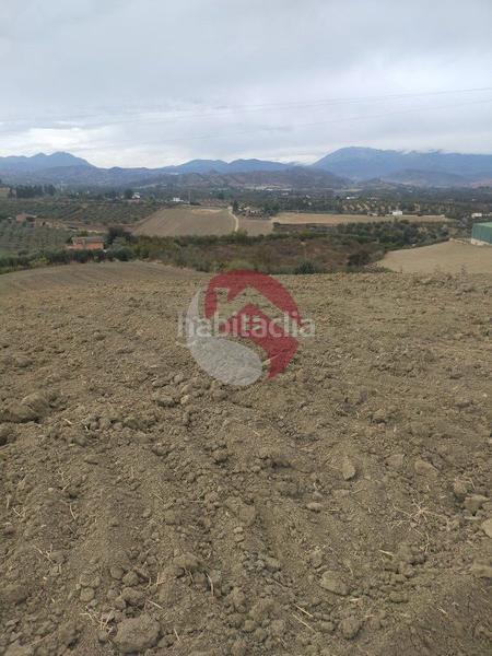 Foto 0bbb3e63-f49b-4b8f-be7c-96d5d2a936f0. Landgut in Alquería-Torrealquería Alhaurín de la Torre
