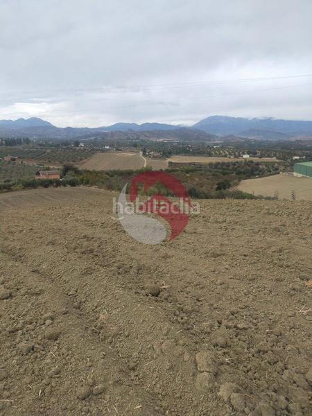 Foto 6bcccd87-cd01-4ca9-8c02-d76877dbbfe9. Propriété dans Alquería-Torrealquería Alhaurín de la Torre