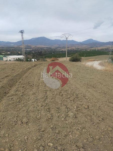 Foto 6c22e228-a888-4901-a03b-06afbdfcbebc. Propriété dans Alquería-Torrealquería Alhaurín de la Torre