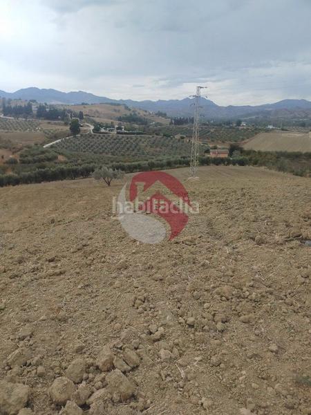 Foto a2b1491b-f941-4b8c-9ff7-80c3a1f029b8. Propriété dans Alquería-Torrealquería Alhaurín de la Torre