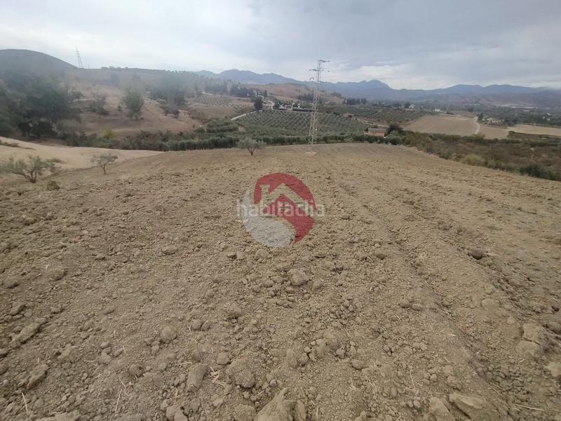 Foto b70ac730-535c-4a66-a85d-cd81cec1c1c2. Propriété dans Alquería-Torrealquería Alhaurín de la Torre