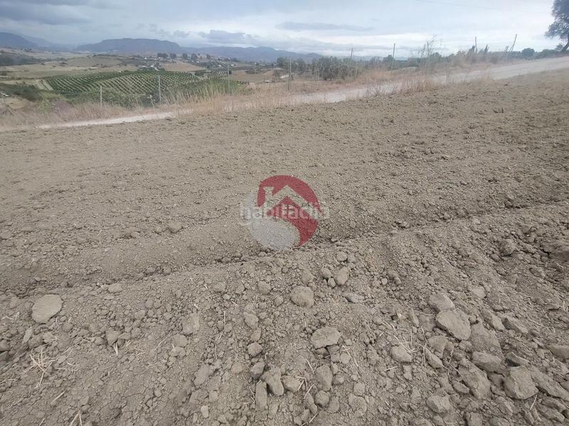 Foto d842be1a-6a87-43ad-bf69-e8eacffca8f8. Propriété dans Alquería-Torrealquería Alhaurín de la Torre