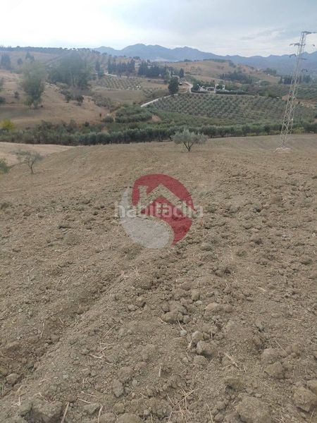Foto 187f3fb0-5b89-4ef2-ae09-2895c4f9e54d. Finca rústica a Alquería-Torrealquería Alhaurín de la Torre