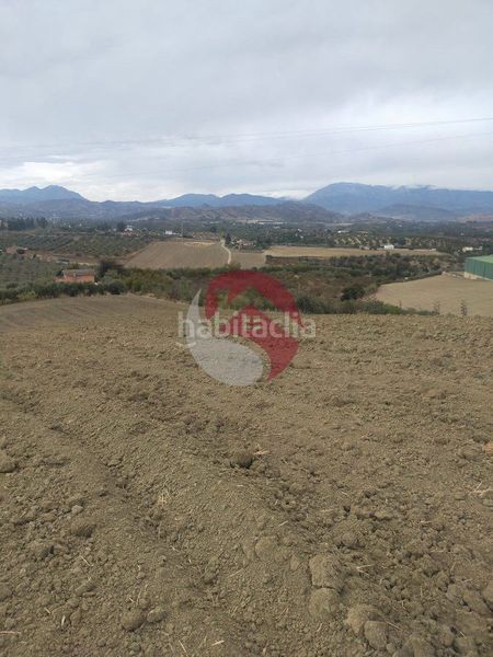 Foto 6bcccd87-cd01-4ca9-8c02-d76877dbbfe9. Finca rústica a Alquería-Torrealquería Alhaurín de la Torre