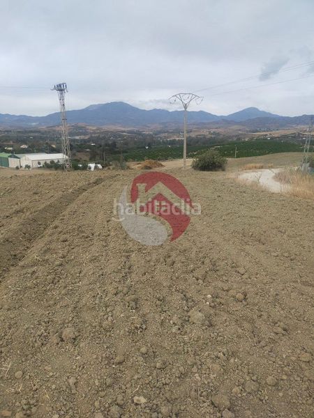 Foto 6c22e228-a888-4901-a03b-06afbdfcbebc. Finca rústica a Alquería-Torrealquería Alhaurín de la Torre