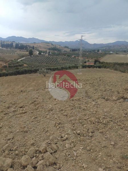 Foto a2b1491b-f941-4b8c-9ff7-80c3a1f029b8. Finca rústica a Alquería-Torrealquería Alhaurín de la Torre