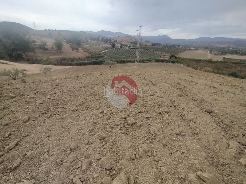 Foto b70ac730-535c-4a66-a85d-cd81cec1c1c2. Finca rústica a Alquería-Torrealquería Alhaurín de la Torre