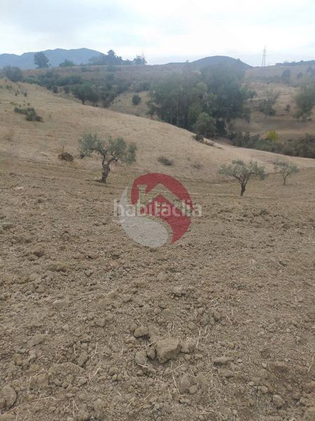 Foto c560e38c-f854-43cf-9675-abc81b166737. Finca rústica a Alquería-Torrealquería Alhaurín de la Torre