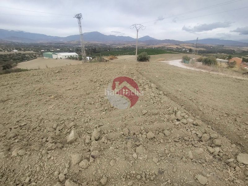 Foto c587ff59-b0db-4c3d-962d-e258d678d617. Finca rústica a Alquería-Torrealquería Alhaurín de la Torre
