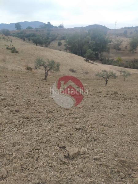 Foto c560e38c-f854-43cf-9675-abc81b166737. Finca rústica en Alquería-Torrealquería Alhaurín de la Torre