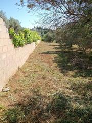 Finca rstica  Estacion de la alqueria. Oferta flash hasta el 15 de agosto venta de parcela ideal huerto