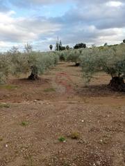 Finca rústica a Coín. Venta parcela rustica. zona las delicias. coin