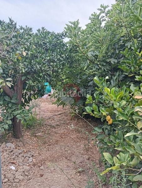 Foto 17e50e11-e0f5-48d3-b961-04ca338c91f5. Terreno residenziale in Cártama