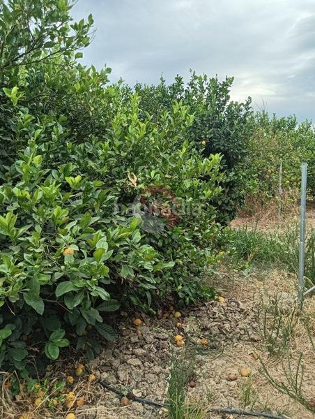 Foto 457724bd-92b5-4728-8037-1372783df146. Terreno residenziale in Cártama