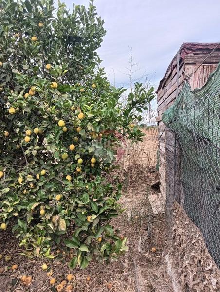 Foto f1cdc3fe-d87c-4d44-a230-75a02e096e52. Terreno residenziale in Cártama