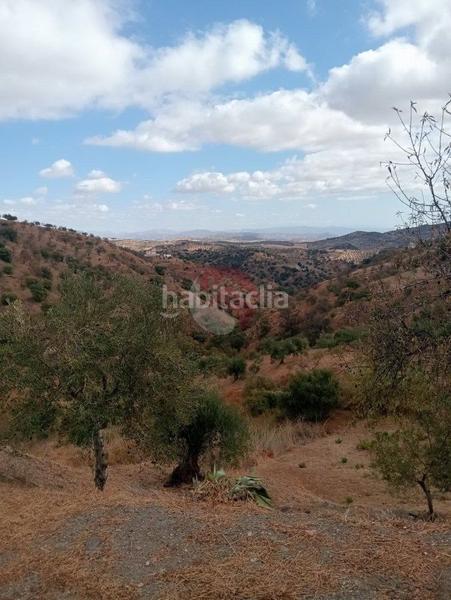 Foto 99fca5f3-2a60-4ebc-a972-fd4f92474b2d. Finca rústica a Tolox