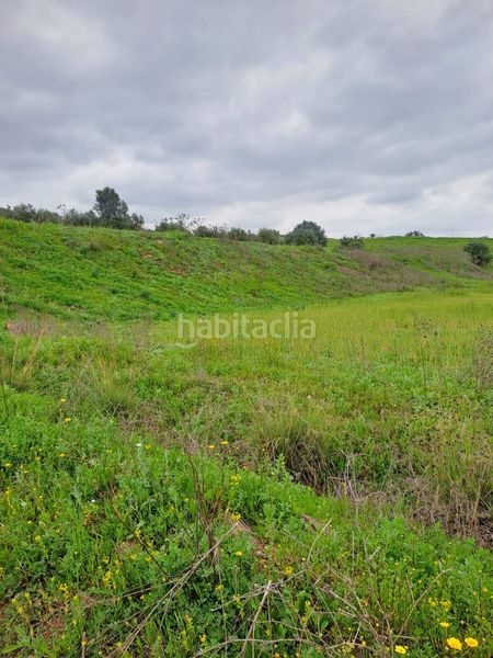 Foto 15737e01-6730-467a-9c05-64332caf3c57. Finca rústica a Casalpalma - Fahala Cártama