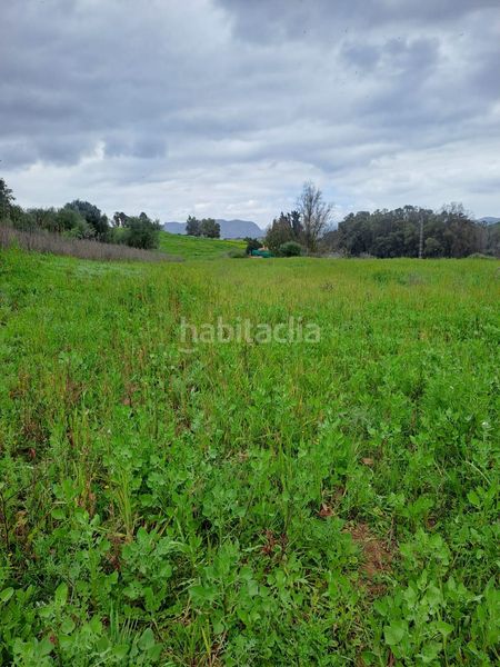 Foto 2015c2fb-cd09-4349-a2ab-9e7ac9a02dd1. Finca rústica a Casalpalma - Fahala Cártama