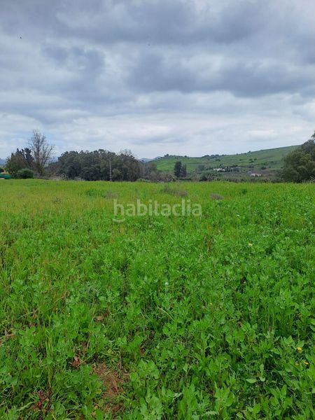 Foto 555e6337-ffcf-4e95-996a-672d5a302d43. Finca rústica a Casalpalma - Fahala Cártama