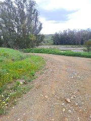 Terreny residencial  Carril de la moraila. Parcela de regadio. riogrande