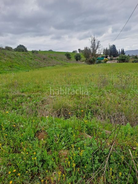 Foto 9d120c10-dab9-4dea-87e3-6be406efb517. Finca rústica a Casalpalma - Fahala Cártama
