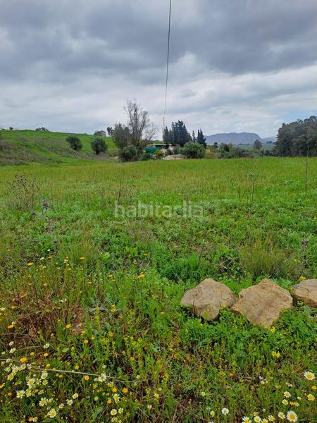 Foto f34e3fed-6b14-4323-91b7-79ee35dd56ef. Finca rústica a Casalpalma - Fahala Cártama