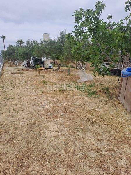 Foto 029ef0f8-e46e-4d0f-b1e6-20e9a50edf2e. Finca rústica a Alquería-Torrealquería Alhaurín de la Torre