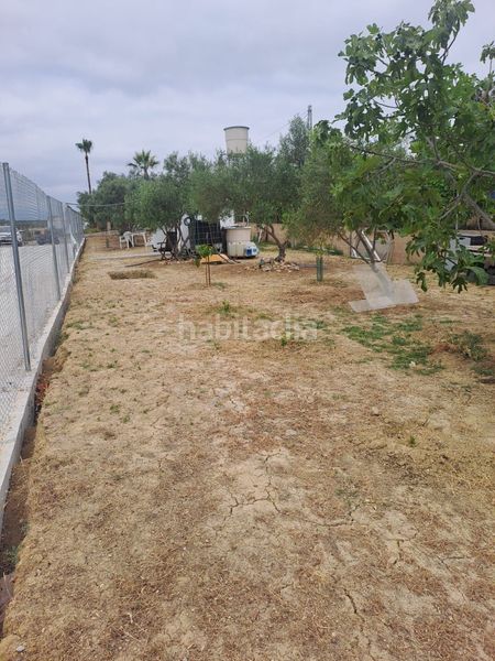 Foto 1cc01113-b482-4a0b-abf0-9993b2815be0. Finca rústica a Alquería-Torrealquería Alhaurín de la Torre
