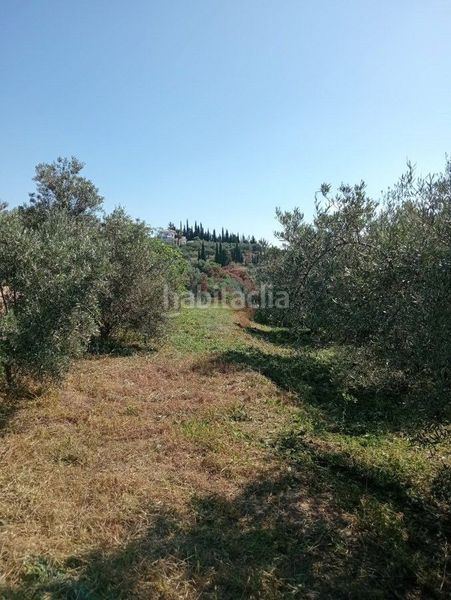 Foto 4e1ca2c3-72dc-4915-8298-d73113916e47. Finca rústica a Alquería-Torrealquería Alhaurín de la Torre