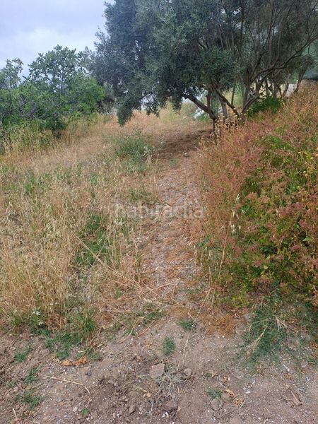 Foto 5ed72688-9f7e-46ec-8fcc-e454f7a647e6. Finca rústica a Alquería-Torrealquería Alhaurín de la Torre
