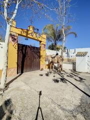 Maison à Cuevas de San Marcos