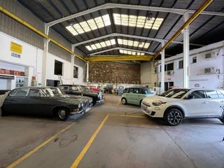 Fabrikhalle in San Alberto - La Alcubilla - Florisol