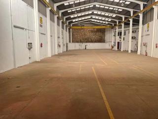 Lloguer Nau industrial a San Alberto - La Alcubilla - Florisol