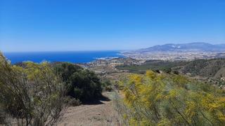 Terreny residencial a Limonar