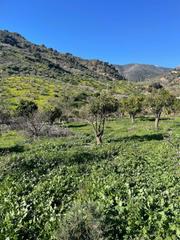 Terreno residenziale in Huétor Tájar