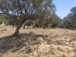 Residential Plot in Oceano