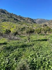 Residential Plot in Poligono