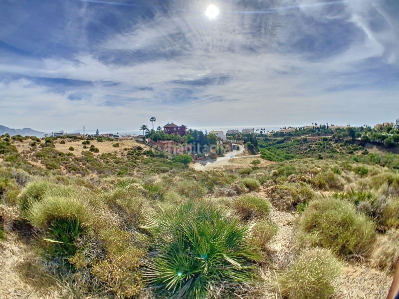 Foto 1af40236-510d-4699-ac1a-873f7a9132ba. Rural plot in calle jineta in El Faro de Calaburra - Chaparral Mijas