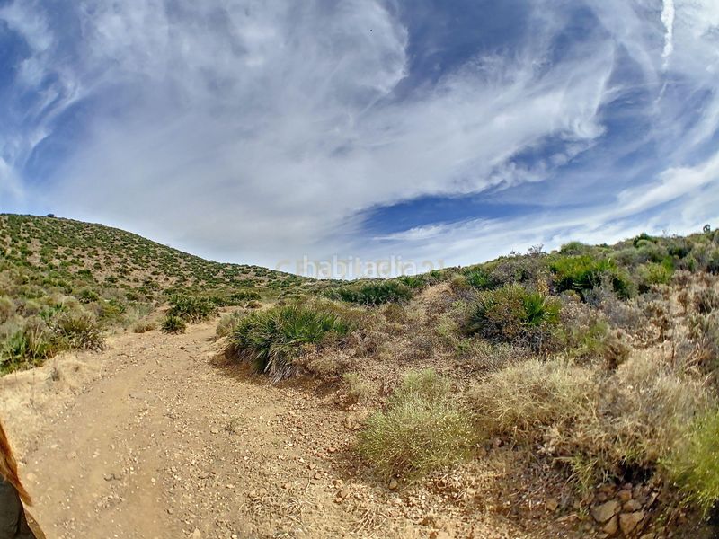 Foto 5f1e7aa0-41c2-4c36-bd01-74e79866054e. Rural plot in calle jineta in El Faro de Calaburra - Chaparral Mijas