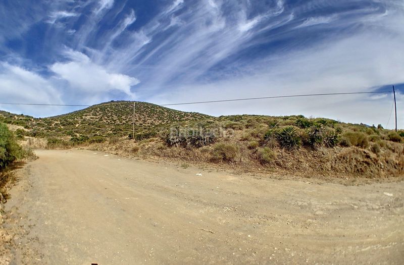 Foto b5dc45dd-bed5-42bd-8b02-21c3959d08ff. Rural plot in calle jineta in El Faro de Calaburra - Chaparral Mijas