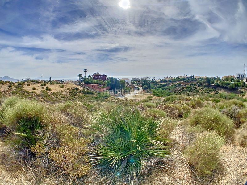Foto d141e27e-31a3-4dde-bb59-320db3af2fcf. Rural plot in calle jineta in El Faro de Calaburra - Chaparral Mijas