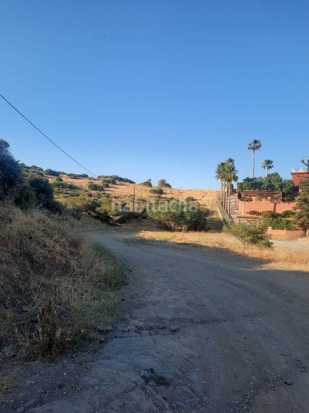 Foto d8d92660-c1df-4d05-9e8f-0958f2199428. Rural plot in calle jineta in El Faro de Calaburra - Chaparral Mijas