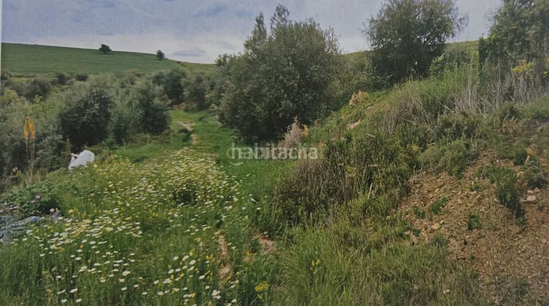 Foto 67074478-18b9-4b91-801d-ca752d7df09c. Rural plot in polígono 33 parcela 57 moraila. cartama (málaga) in Coín