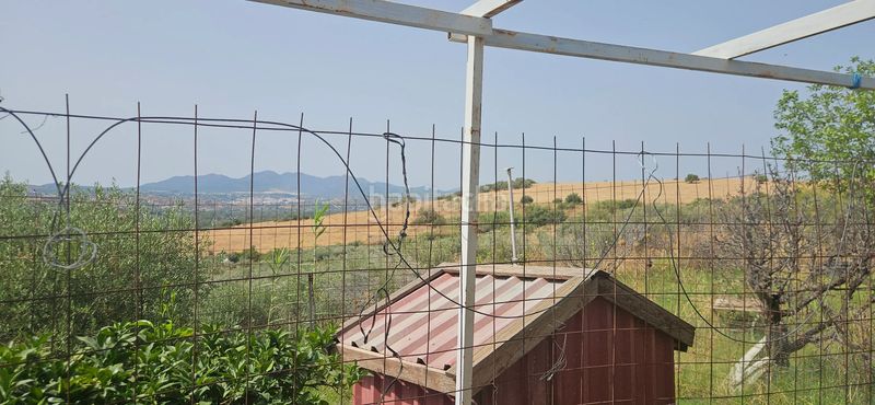 Foto cd506914-bf88-495d-b05c-e80f9f455df4. Rural plot in polígono 33 parcela 57 moraila. cartama (málaga) in Coín