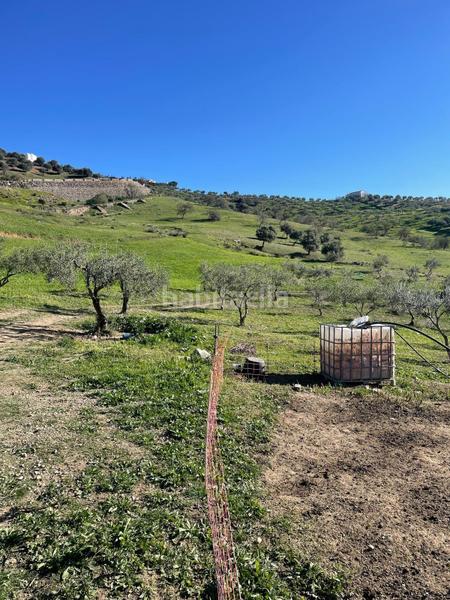 Foto 0c8b0776-84f3-4624-99a6-84a56c339091. Terrain résidentiel dans poligono 11 dans Huétor Tájar