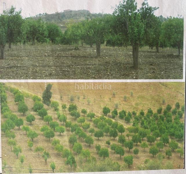 Foto 0fb70a38-cc1c-4bba-95c9-b865ce30171b. Terrain résidentiel dans poligono 11 dans Huétor Tájar