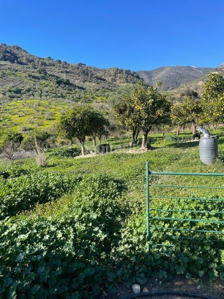 Foto 17488a76-ded3-49ea-b508-85d93c5d529d. Terrain résidentiel dans poligono 11 dans Huétor Tájar