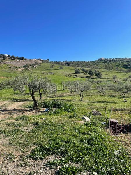 Foto 2c4b9a9c-4088-4ddd-a5db-9b01f736ded0. Terrain résidentiel dans poligono 11 dans Huétor Tájar