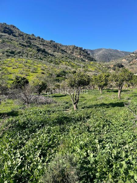 Foto 5310c090-4ed7-4527-ba85-6bfe8fe258f5. Terrain résidentiel dans poligono 11 dans Huétor Tájar
